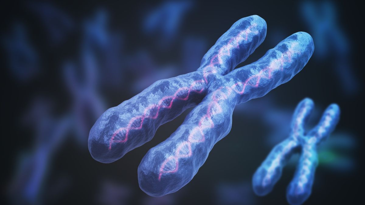 Zespół Lescha-Nyhana (LNS)