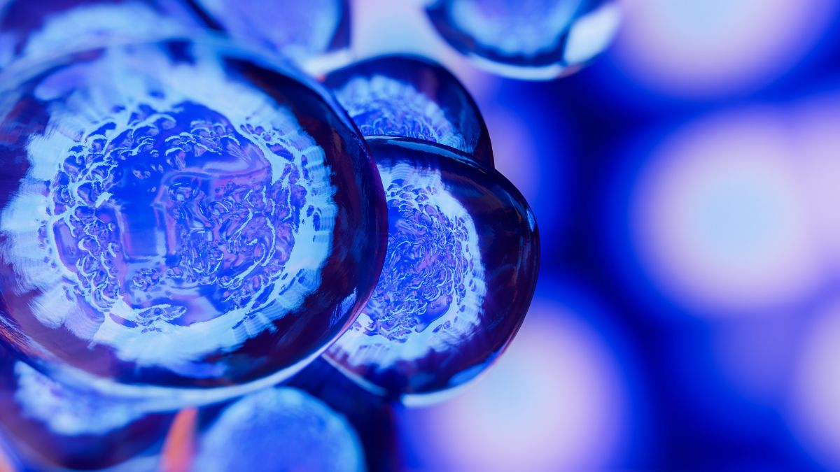 Choroba Hirschsprunga