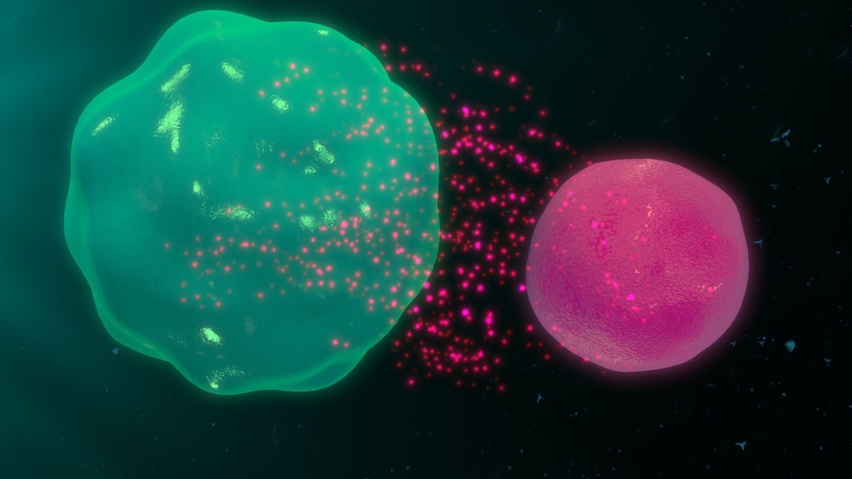 Zespół Pradera-Williego