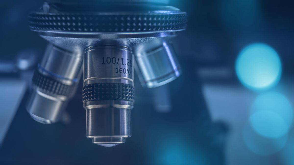 Neuroimmunologia zmienia neurologię