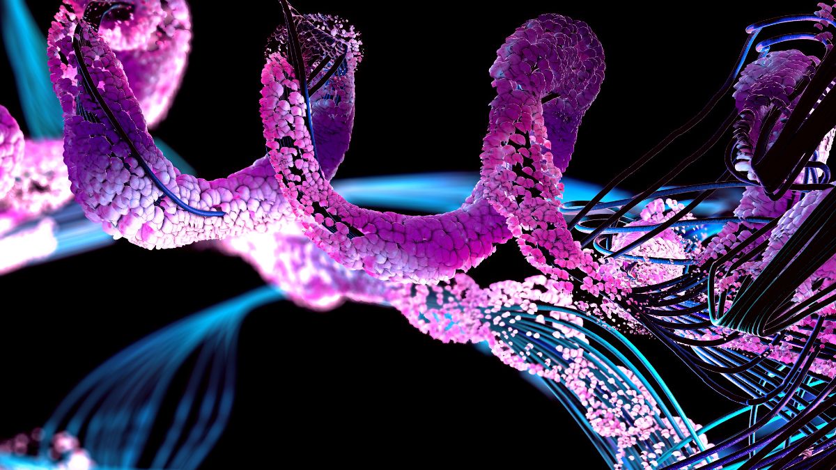 Neurofibromatoza typu 2 (NF2)